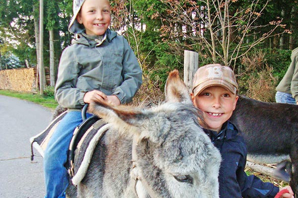 Reiten auf dem Esel