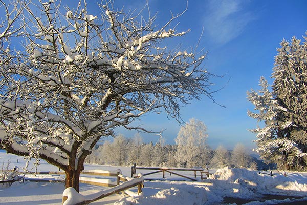 Winter auf dem Oberjosenhof