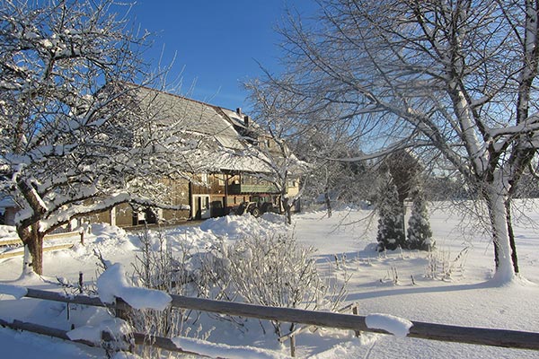 Winter auf dem Oberjosenhof